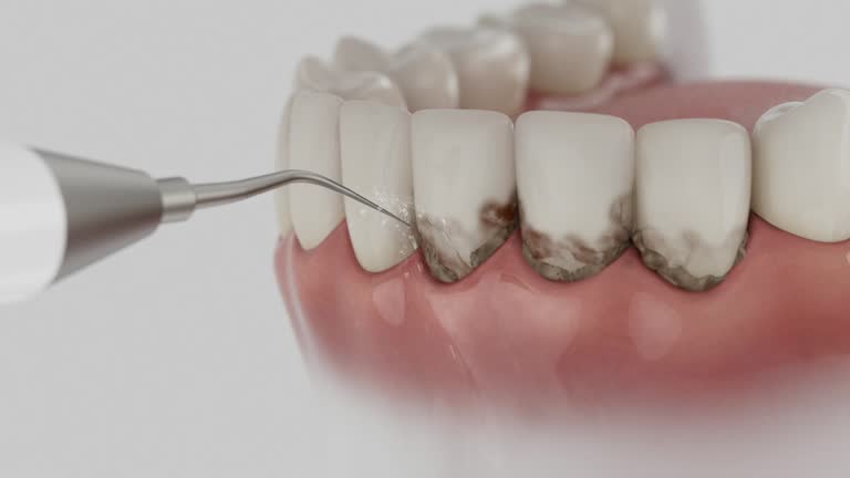 Reliable Dental contractor in Carolina Beach, NC by Dentist Open Now